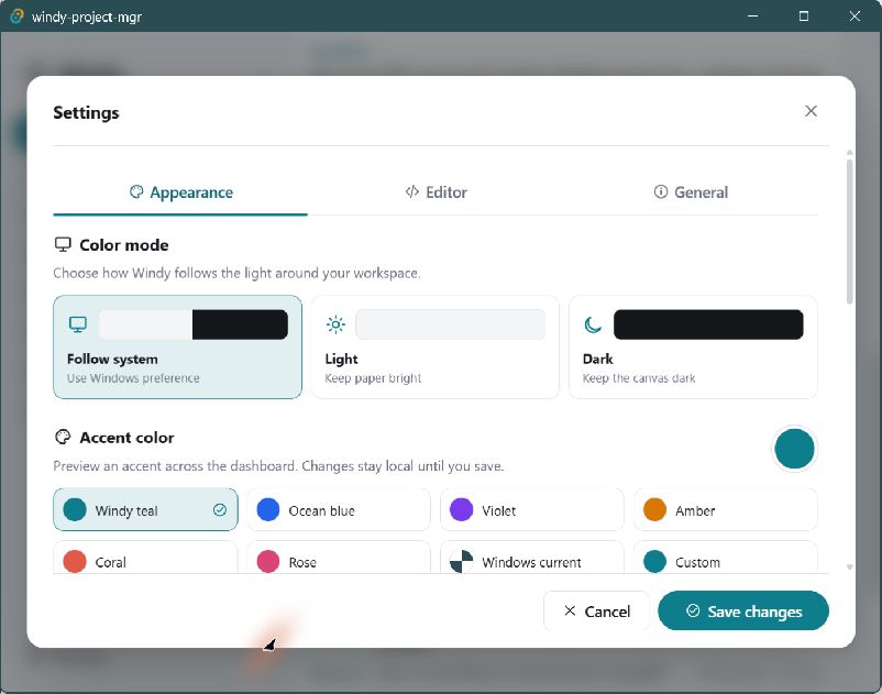 Windy Project Manager Settings Appearance 真实截图